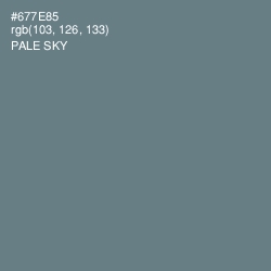 #677E85 - Pale Sky Color Image