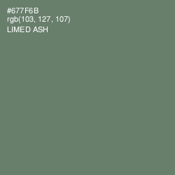 #677F6B - Limed Ash Color Image