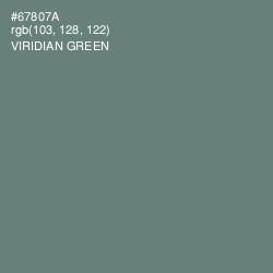 #67807A - Viridian Green Color Image