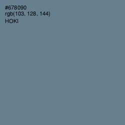 #678090 - Hoki Color Image