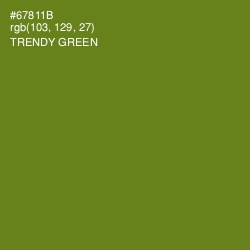 #67811B - Trendy Green Color Image