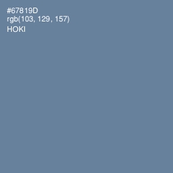 #67819D - Hoki Color Image