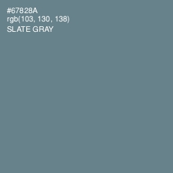 #67828A - Slate Gray Color Image