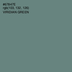 #67847E - Viridian Green Color Image