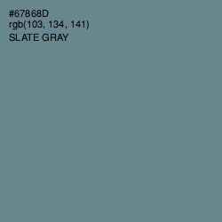 #67868D - Slate Gray Color Image