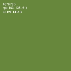 #67873D - Olive Drab Color Image