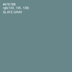 #67878B - Slate Gray Color Image