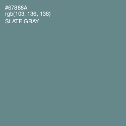 #67888A - Slate Gray Color Image
