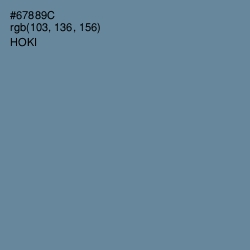 #67889C - Hoki Color Image