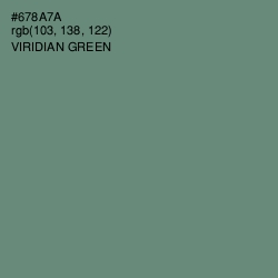 #678A7A - Viridian Green Color Image