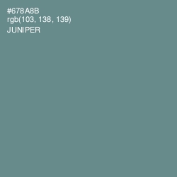 #678A8B - Juniper Color Image