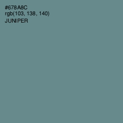 #678A8C - Juniper Color Image