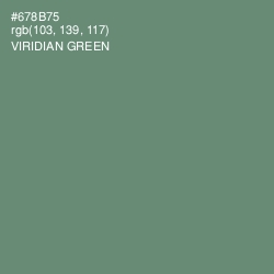 #678B75 - Viridian Green Color Image