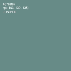 #678B87 - Juniper Color Image