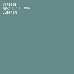 #678B88 - Juniper Color Image
