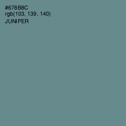 #678B8C - Juniper Color Image