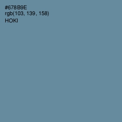 #678B9E - Hoki Color Image
