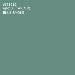 #678C82 - Blue Smoke Color Image