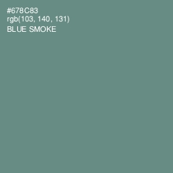 #678C83 - Blue Smoke Color Image