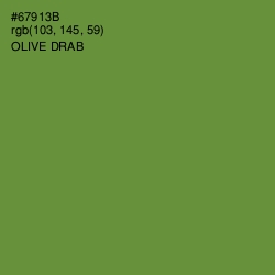 #67913B - Olive Drab Color Image