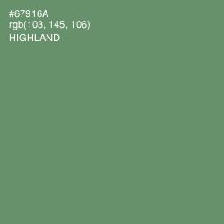 #67916A - Highland Color Image