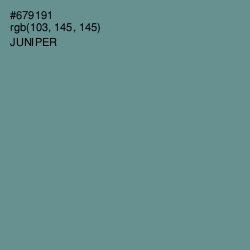 #679191 - Juniper Color Image