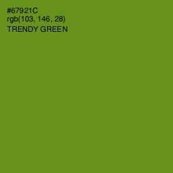 #67921C - Trendy Green Color Image