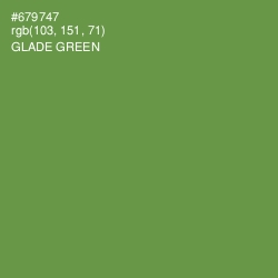 #679747 - Glade Green Color Image