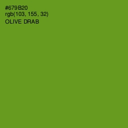 #679B20 - Olive Drab Color Image