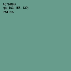 #679B8B - Patina Color Image