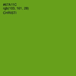 #67A11C - Christi Color Image