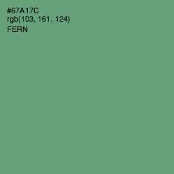 #67A17C - Fern Color Image