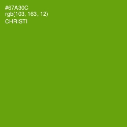 #67A30C - Christi Color Image