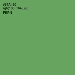 #67A460 - Fern Color Image