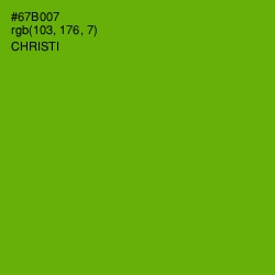 #67B007 - Christi Color Image