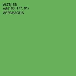 #67B15B - Asparagus Color Image