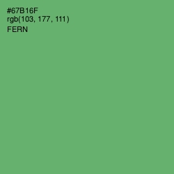 #67B16F - Fern Color Image