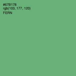 #67B178 - Fern Color Image