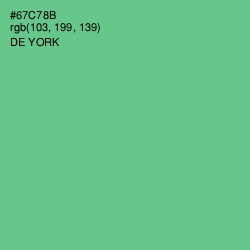 #67C78B - De York Color Image