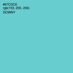 #67CDCE - Downy Color Image