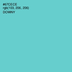 #67CECE - Downy Color Image