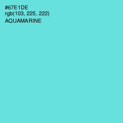 #67E1DE - Aquamarine Color Image