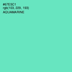 #67E5C1 - Aquamarine Color Image