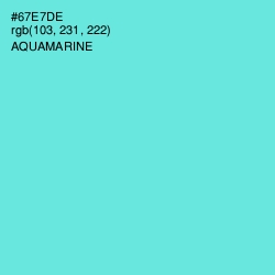 #67E7DE - Aquamarine Color Image