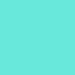 #67E8DA - Aquamarine Color Image