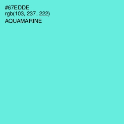 #67EDDE - Aquamarine Color Image