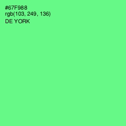 #67F988 - De York Color Image