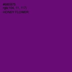 #680B75 - Honey Flower Color Image