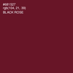 #681527 - Black Rose Color Image