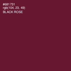 #681731 - Black Rose Color Image